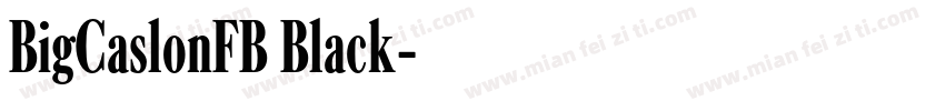 BigCaslonFB Black字体转换